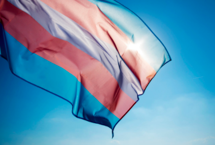 Picture of the trans flag in front of the sun with blue skies behind it